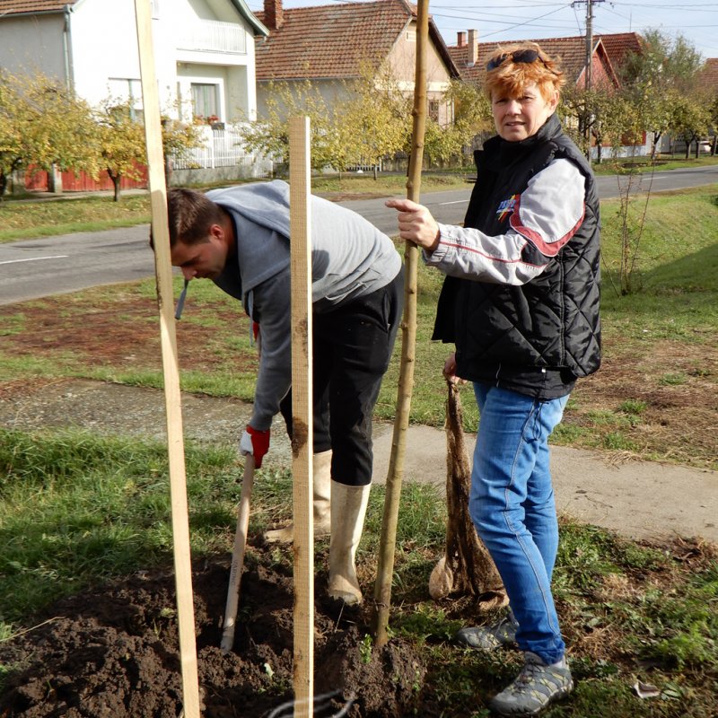Közösségi faültetés Berettyóújfaluban 38